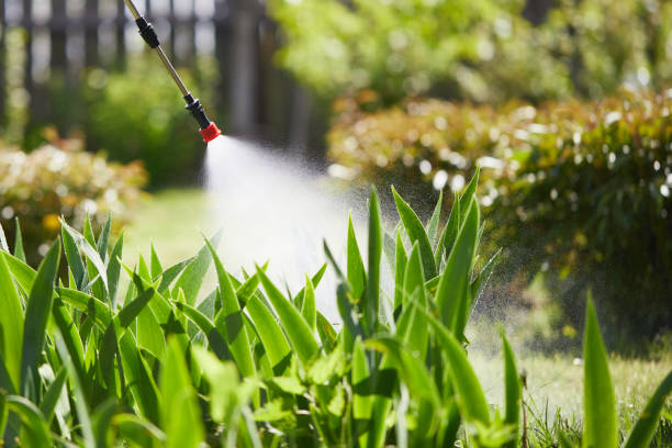 24/7 Emergency Cockroach Control experts in Gorman, TX